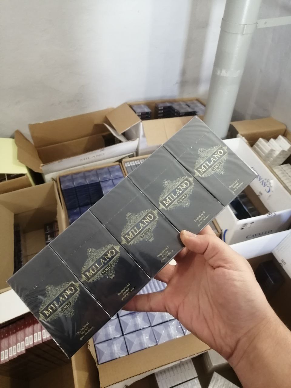 Milano Vento SS (вишня)