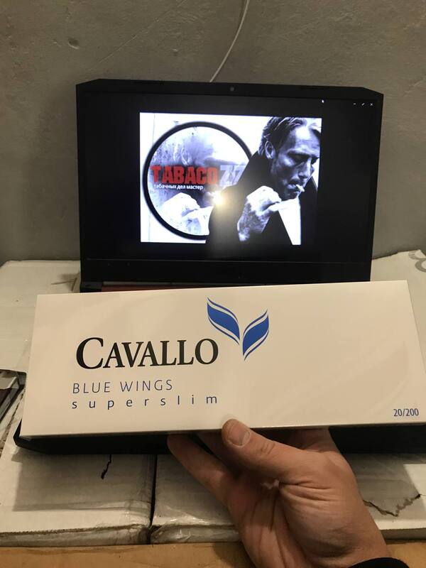 Cavallo SS Blue Wings